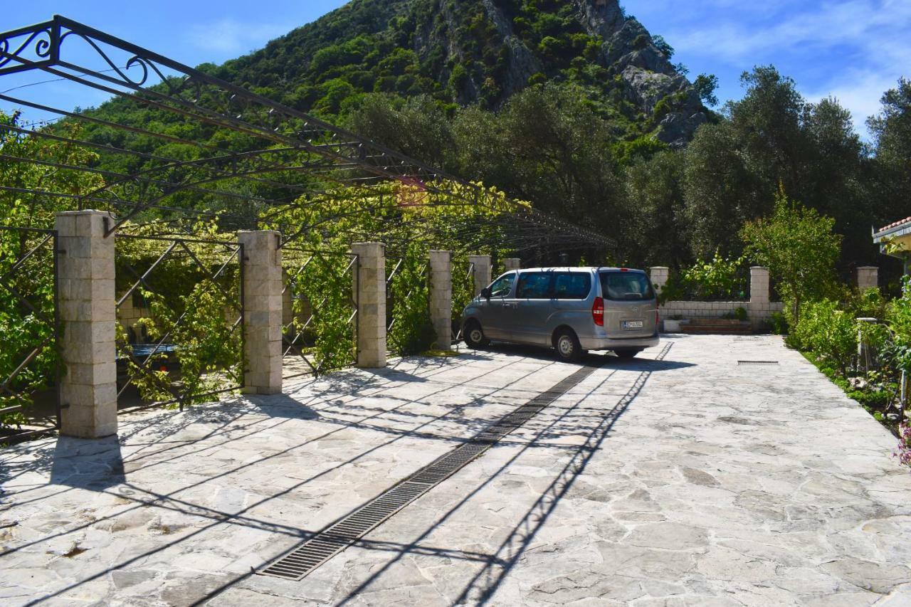 Villa Dolphin Apartments Petrovac Extérieur photo